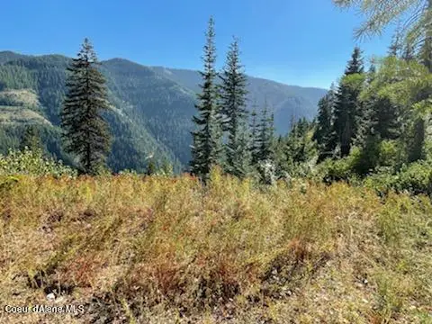 NKA Burke 34.38 Acres Rd, Wallace