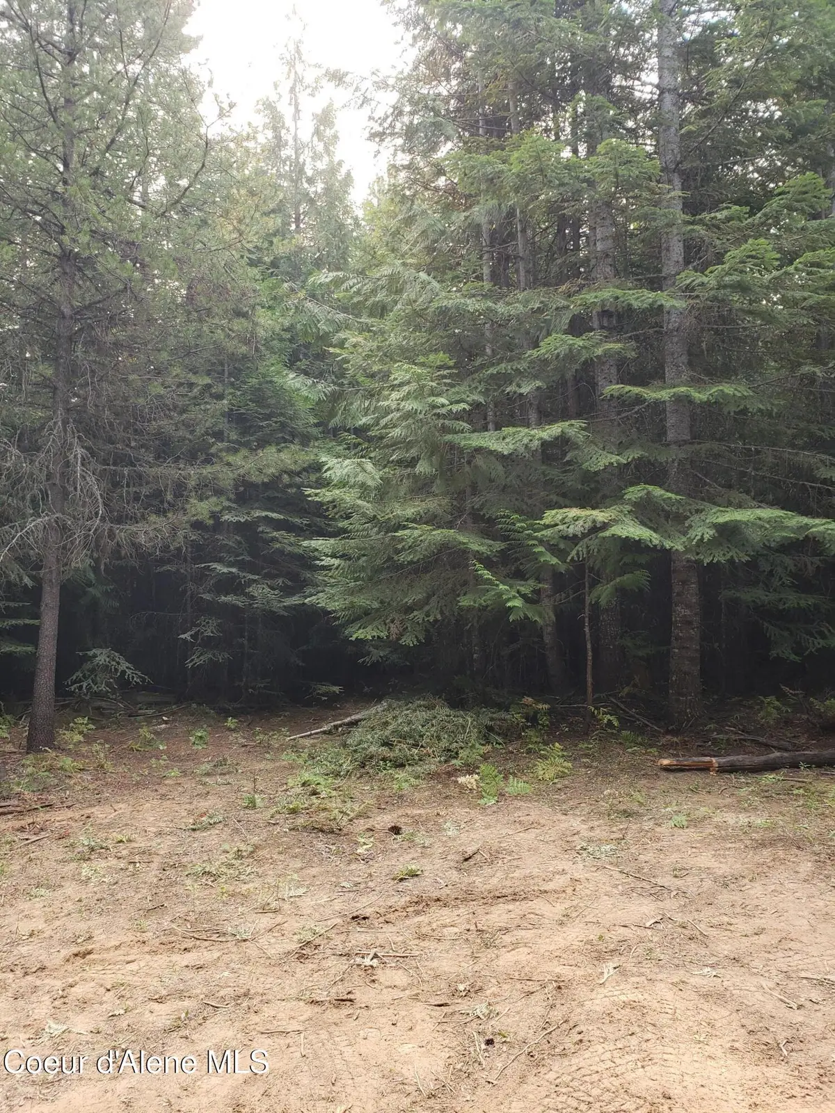 80 E Ridge Dr (Tract 8), St. Maries