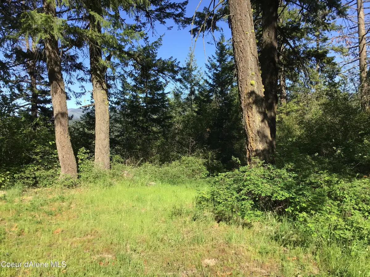 Rufus Trail Lts 4, St. Maries