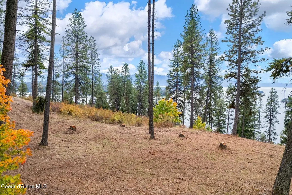 Nna Green Monarch Lane, Hope