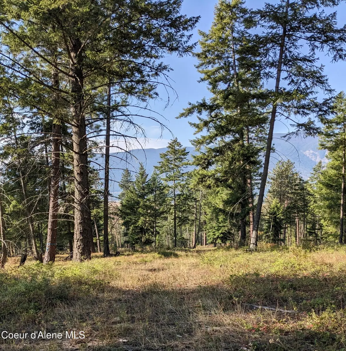 Nna 10 ac. New Chisholm Way, Bonners Ferry