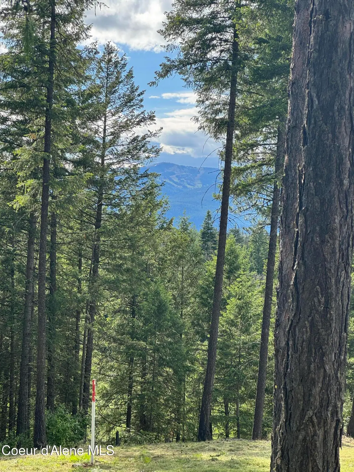 Wildflower Way, Sandpoint