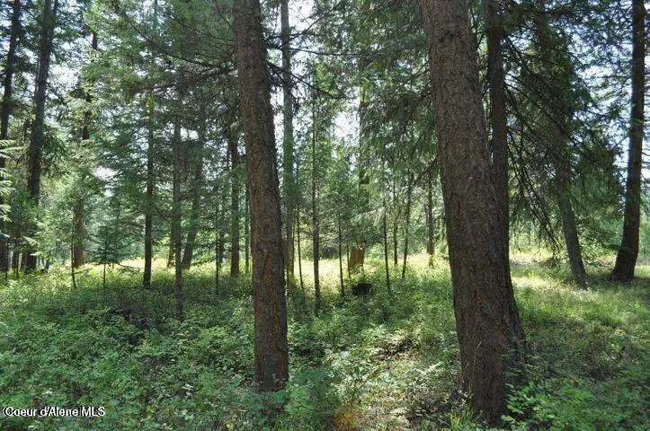 39 Forest Ridge Rd, Blanchard