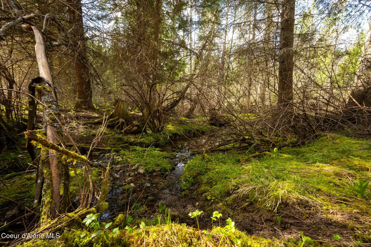 NKA Evans Creek Rd, Medimont