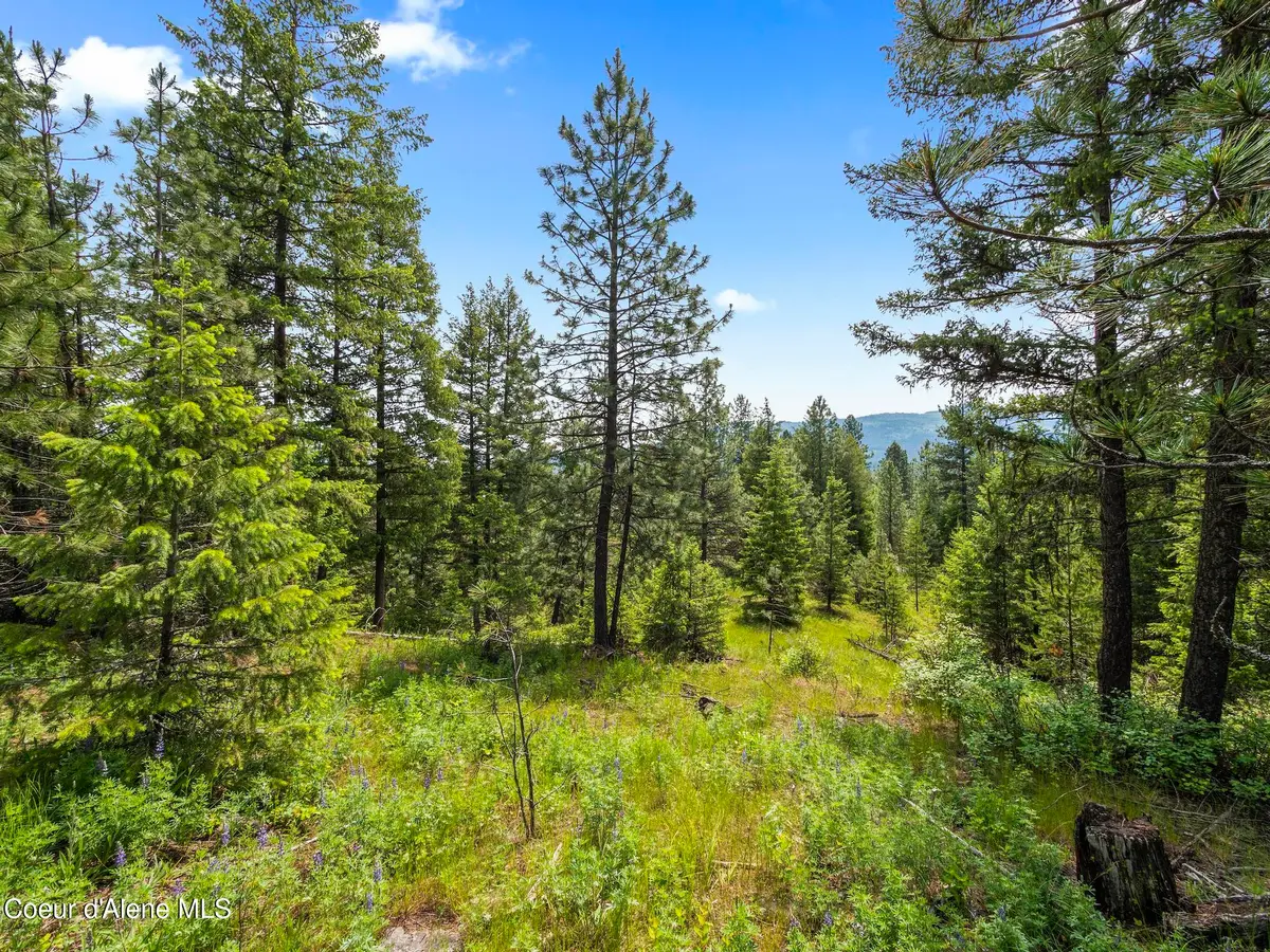 685 Blanchard Elk Rd, Blanchard