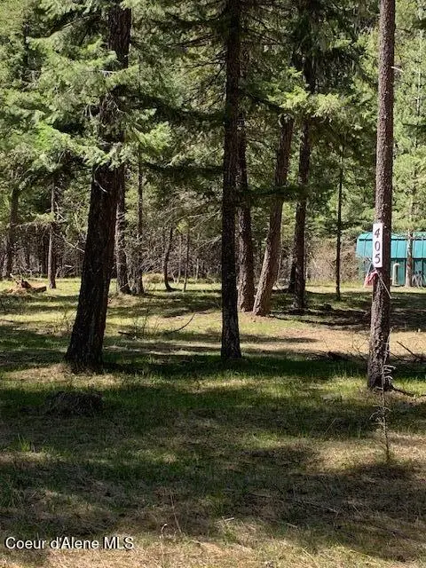 405 Shady Ln, Wallace