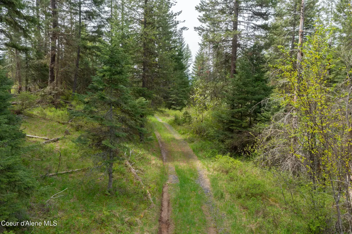 Nna Davis Creek, Santa