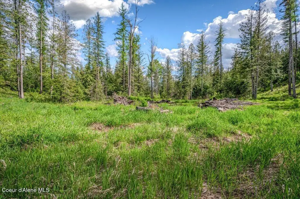 Nna Oleander Dr., Sandpoint