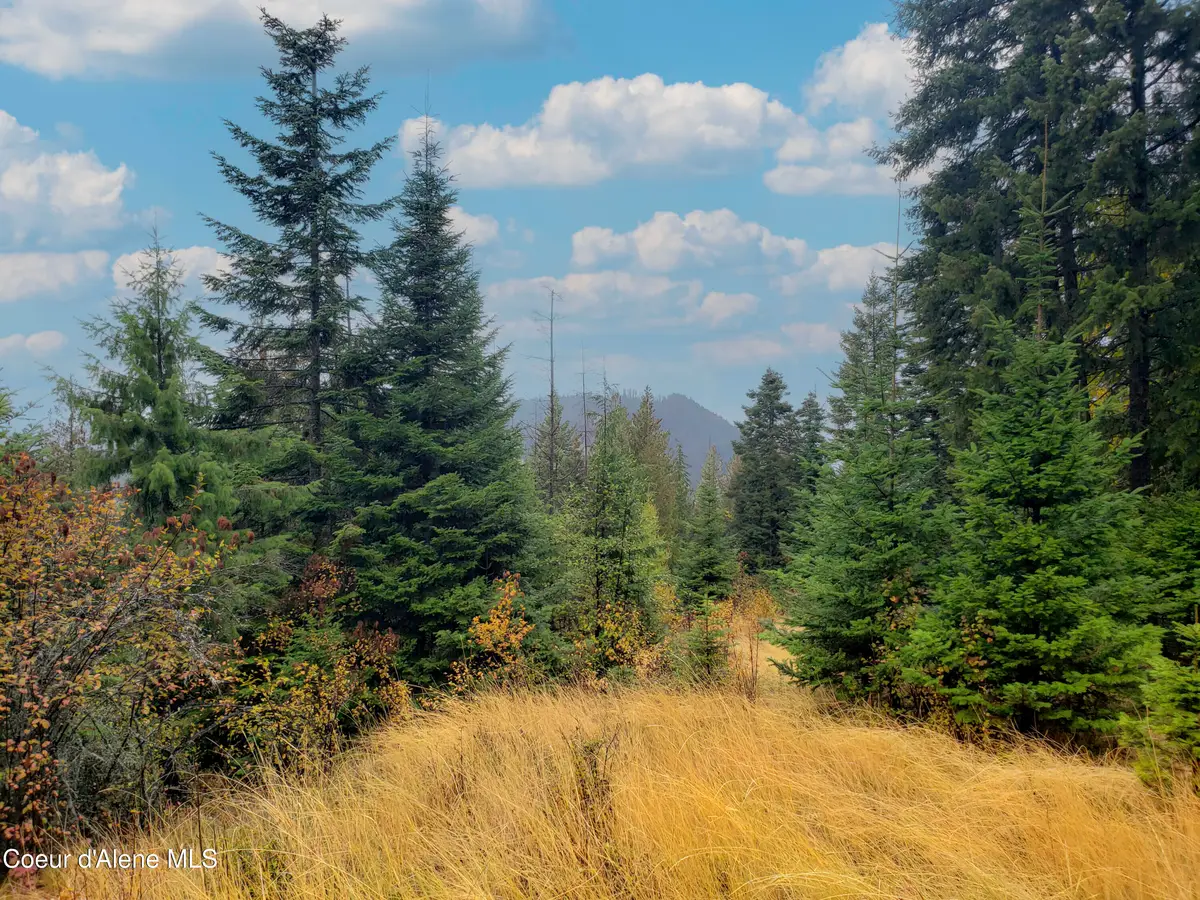 NKA White Cloud Dr, Sandpoint