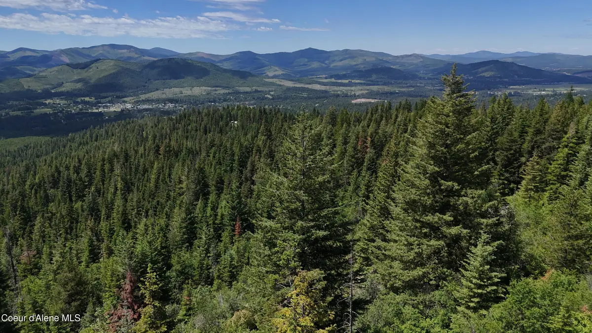 2407 Crystal Peak Rd, Fernwood