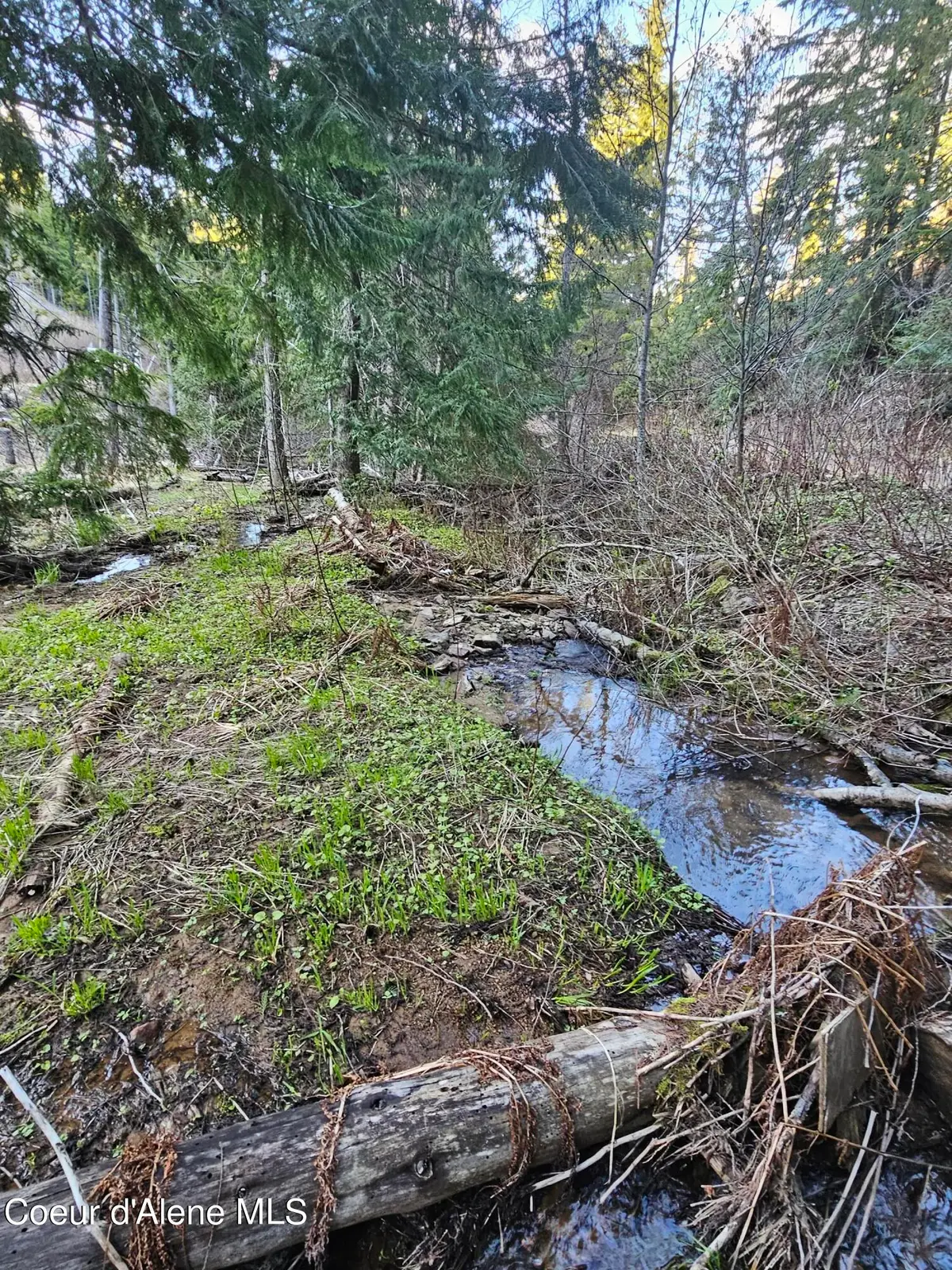 NKA Alder Way, St. Maries