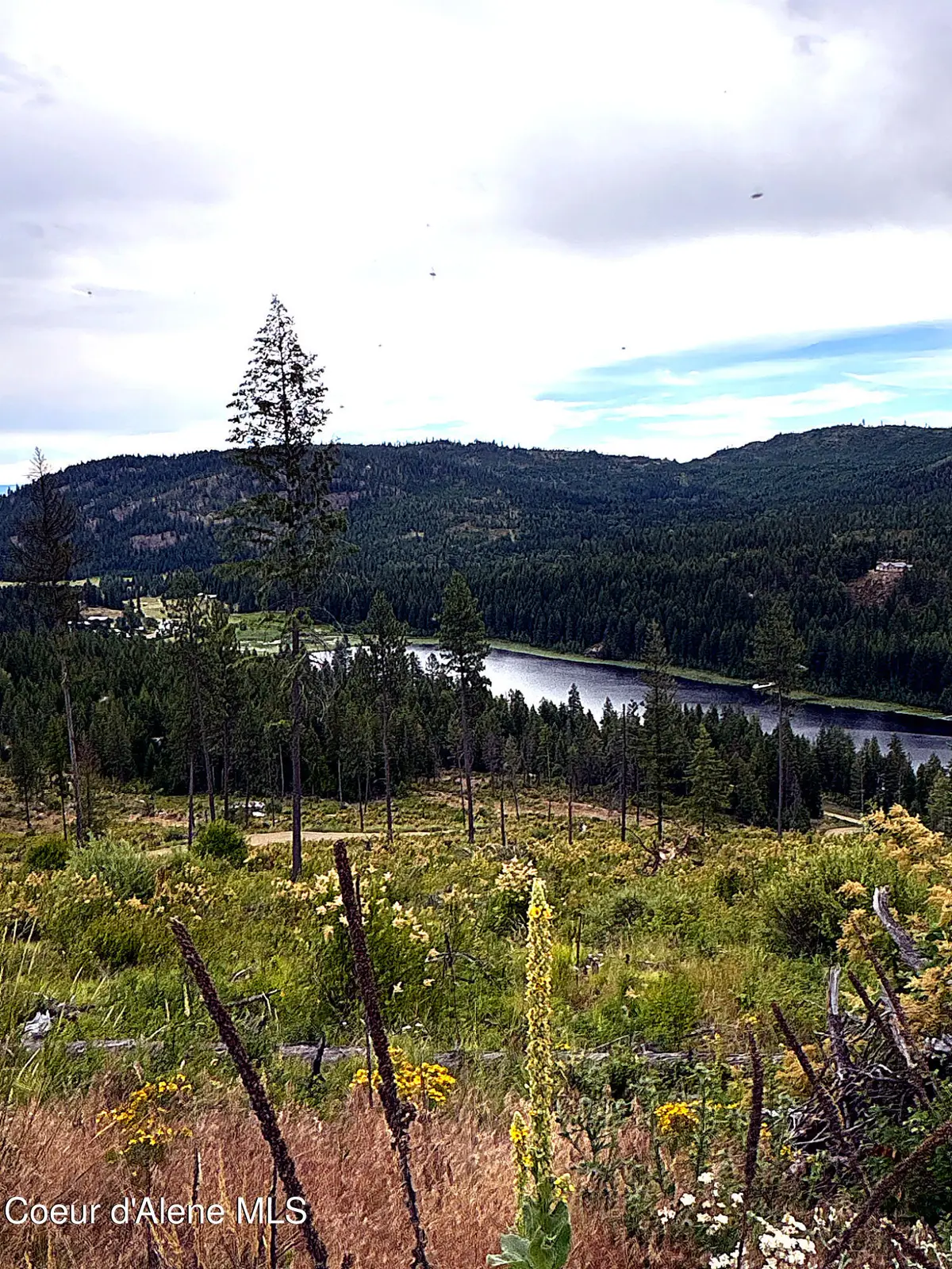 Lot 2 Dollar Creek Dr, Sagle