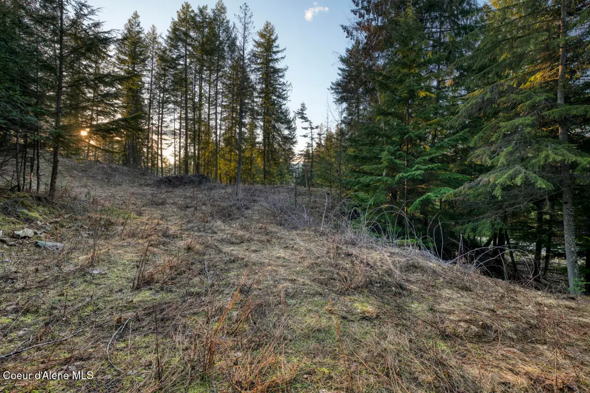 Nna White Cloud, Sandpoint