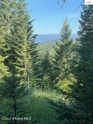 Nna C35 White Cloud Drive, Sandpoint