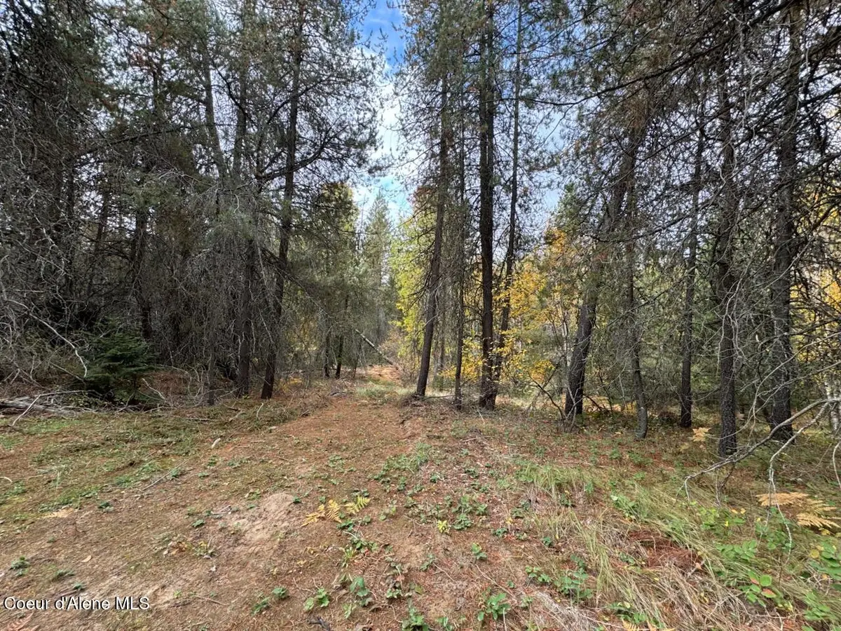 NKA Rascals Rd, Sandpoint
