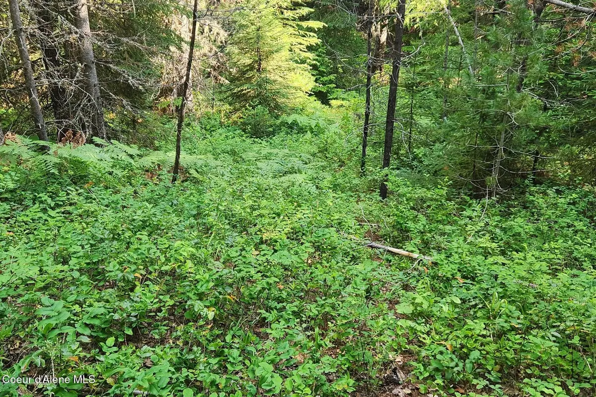 Nna Reeder Bay Rd, Nordman