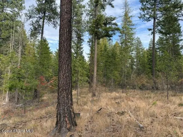 Nna Jachetta Rd, Priest River