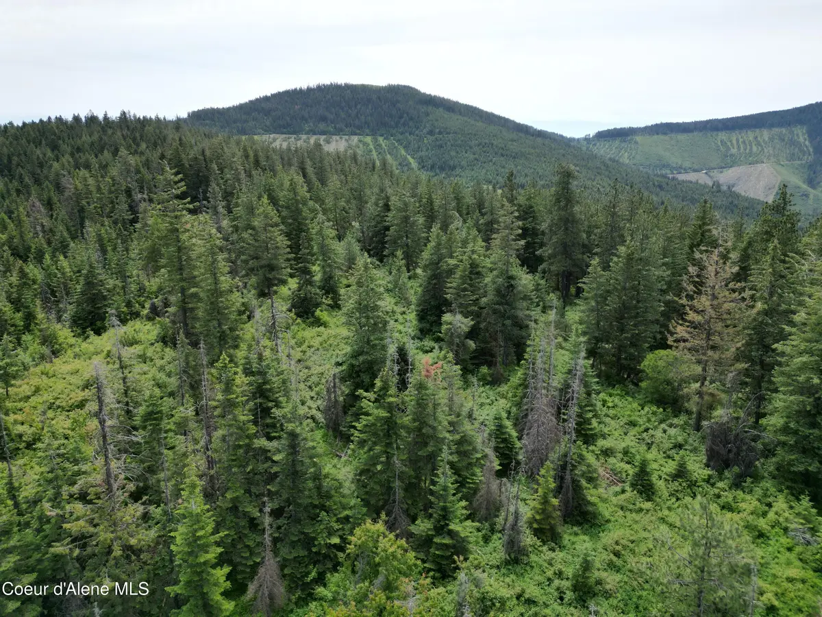 NKA Initial Peak Rd, Cataldo
